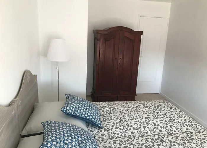 Les Jacinthes Saint-Raphaël